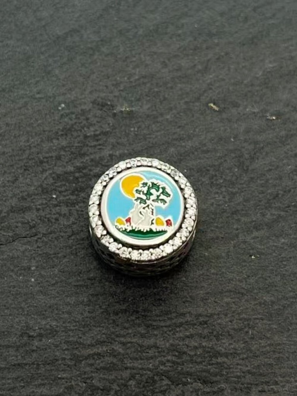 Pandora Charleston SC Exclusive Bead Charm Sterling Silver Jewelry